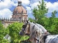 Jerez de la Frontera History and Art Walking Tour