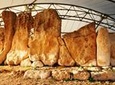 Malta Prehistoric Temples Tour