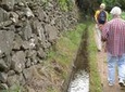 Maroços Mimosa Valley Levada Walk from Funchal