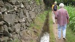 Maroços Mimosa Valley Levada Walk from Funchal