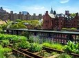Meatpacking District, Chelsea Market, and High Line Walking Tour