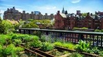 Meatpacking District, Chelsea Market, and High Line Walking Tour