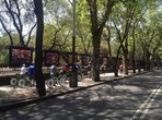 Mexico City Bike and Cultural Tour (DIEGO RIVERA`S MURALS/PAPANTLA FLYERS SHOW)