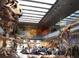 Admission: Natural History Museum of Los Angeles County