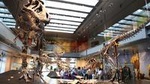 Admission: Natural History Museum of Los Angeles County