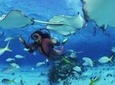 No Certification Required Guided Scuba Diving Tour