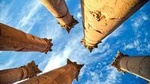 Private Jerash and Ajloun Castle Full-Day Chauffeur Service from Dead Sea