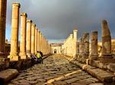 One Day Private Tour: Jerash and Ajloun Castle From The Dead Sea