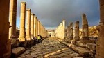 One Day Private Tour: Jerash and Ajloun Castle From The Dead Sea