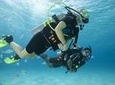 Discover Scuba Diving with two dives in the Ocean in Tenerife with Transfers