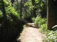 Paradise Valley - Levada Walk