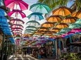 Private Guided Tour of Northern Mauritius with Shopping in Port Louis