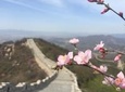 All Inclusive Private Hiking Tour to Yanqing Badaling Incomplete Great Wall