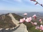 All Inclusive Private Hiking Tour to Yanqing Badaling Incomplete Great Wall