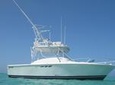 Private Charter 32ft Express Cruiser. Stingrays, Snorkeling, Starfish