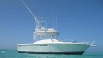 Private Charter 32ft Express Cruiser. Stingrays, Snorkeling, Starfish