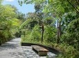 Private Penang Hill Habitat Nature Walk with Lunch