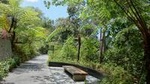 Private Penang Hill Habitat Nature Walk with Lunch