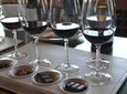 Private Tour: Undurraga Vineyard Experience with Premium Wine Tasting