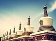 All Inclusive Private Day Tour of Xining including Kumbum Monastery, Dongguan Mosque plus Local Market
