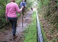 Levada Walk from Ribeiro Frio to Portela