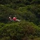 Selvatura Park Canopy Tour