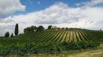 Siena and Chianti Wineries Excursion by Private Luxury Van from Florence