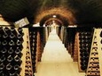 Champagne Small-Group WineDay from Paris including 8 Champagne tasting and lunch