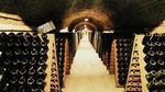 Champagne Small-Group WineDay from Paris including 8 Champagne tasting and lunch