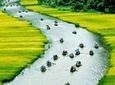 Small-Group Hoa Lu Day Tour from Hanoi