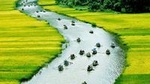 Small-Group Hoa Lu Day Tour from Hanoi