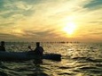 Sunset Dolphin Kayak Tours