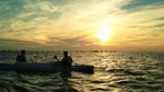 Sunset Dolphin Kayak Tours