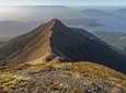 Taste of Fiordland // Helicopter Scenic Flight from Te Anau