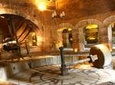 Tequila Day Experience Including Hacienda San Jose del Refugio