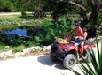 Tulum ATV Tour: Off-the-Beaten Path Adventure and Rescued Animals Sanctuary