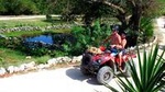Tulum ATV Tour: Off-the-Beaten Path Adventure and Rescued Animals Sanctuary