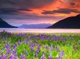Turnagain Arm Tour