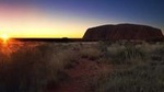 Uluru (Ayers Rock) Field of Light Sunrise Tour