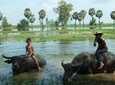 Village Life Tour from Siem Reap
