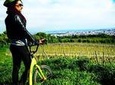 Vineyards of Vienna Downhill Scooter Tour with Panoramic Views