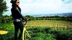 Vineyards of Vienna Downhill Scooter Tour with Panoramic Views