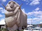 See The Big Merino, Goulburn, Australia