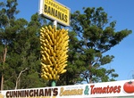 See Big Bunch of Bananas in Coffs Harbour, NSW, Australia