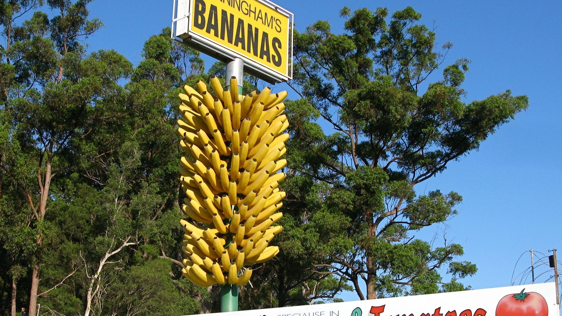 Big Bunch of Bananas in Coffs Harbour