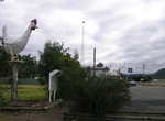 See The Big Chook in Moonbi, NSW, Australia