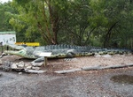See The Big Crocodile (Big Ted), Hartley's Creek, Queensland, Australia