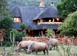 Stay at Ant's Nest, Waterberg, South Africa