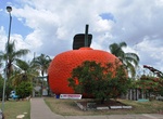 See The Big Mandarin in Mundubbera, Queensland, Australia