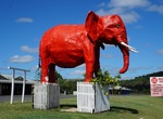 See The Big Red Elephant in Lockyer Valley, Queensland, Australia